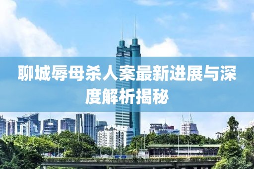 聊城辱母殺人案最新進展與深度解析揭秘