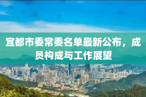 宜都市委常委名單最新公布，成員構成與工作展望