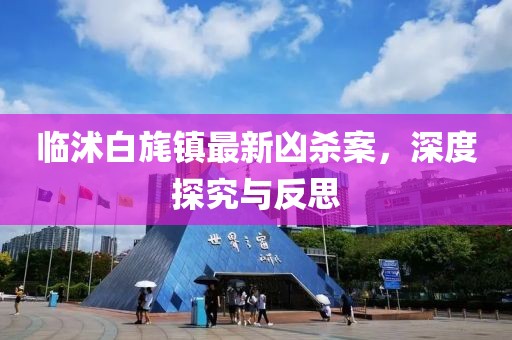 臨沭白旄鎮(zhèn)最新兇殺案，深度探究與反思
