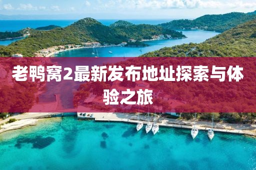 2024年12月 第11頁
