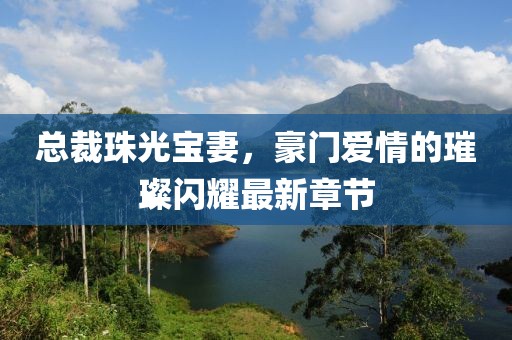 總裁珠光寶妻，豪門愛情的璀璨閃耀最新章節(jié)