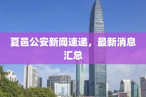 夏邑公安新聞速遞，最新消息匯總