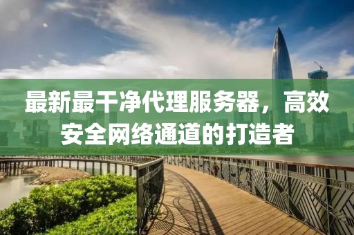 最新最干凈代理服務(wù)器，高效安全網(wǎng)絡(luò)通道的打造者