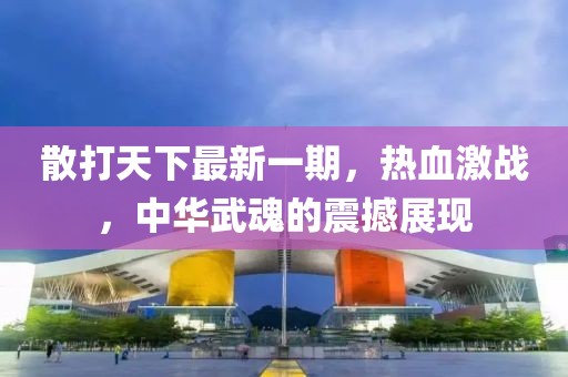 散打天下最新一期，熱血激戰(zhàn)，中華武魂的震撼展現(xiàn)