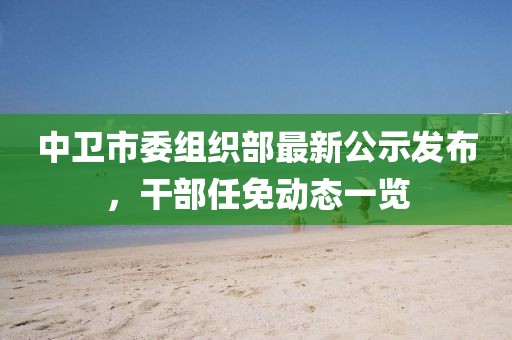 中衛(wèi)市委組織部最新公示發(fā)布，干部任免動態(tài)一覽