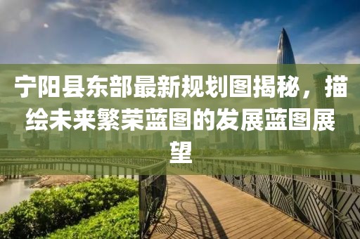 寧陽縣東部最新規(guī)劃圖揭秘，描繪未來繁榮藍圖的發(fā)展藍圖展望