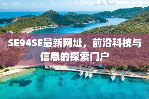 SE94SE最新網(wǎng)址，前沿科技與信息的探索門戶