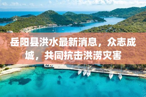 岳陽縣洪水最新消息，眾志成城，共同抗擊洪澇災(zāi)害