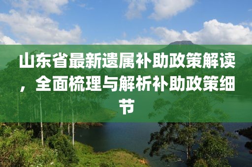 山東省最新遺屬補(bǔ)助政策解讀，全面梳理與解析補(bǔ)助政策細(xì)節(jié)