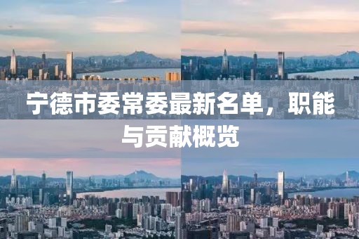 寧德市委常委最新名單，職能與貢獻概覽