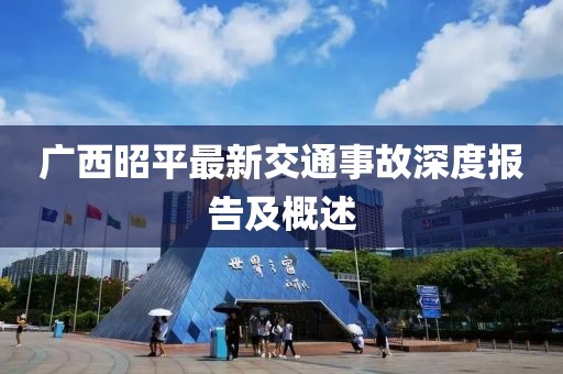 廣西昭平最新交通事故深度報告及概述