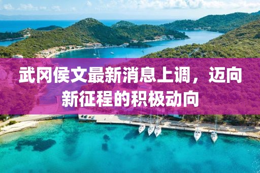 武岡侯文最新消息上調(diào)，邁向新征程的積極動向
