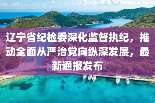 遼寧省紀檢委深化監(jiān)督執(zhí)紀，推動全面從嚴治黨向縱深發(fā)展，最新通報發(fā)布