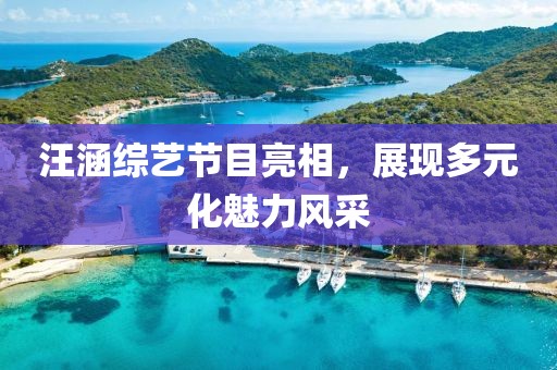 汪涵綜藝節(jié)目亮相，展現多元化魅力風采