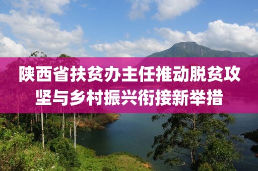 陜西省扶貧辦主任推動脫貧攻堅與鄉(xiāng)村振興銜接新舉措