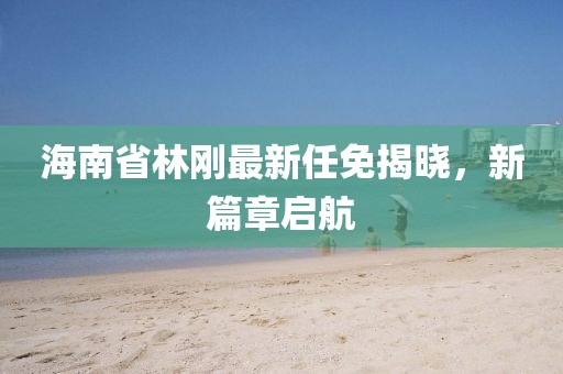 海南省林剛最新任免揭曉，新篇章啟航