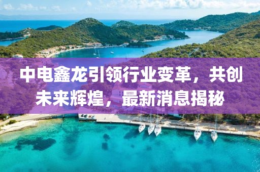 中電鑫龍引領(lǐng)行業(yè)變革，共創(chuàng)未來輝煌，最新消息揭秘