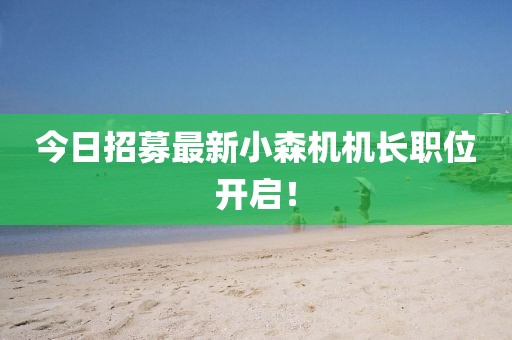 今日招募最新小森機機長職位開啟！