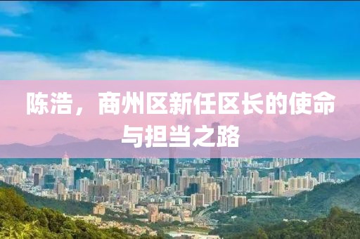 陳浩，商州區(qū)新任區(qū)長的使命與擔(dān)當(dāng)之路