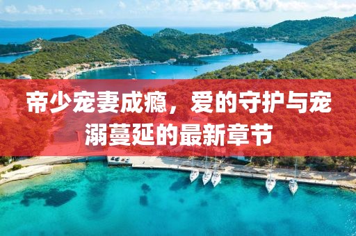 帝少寵妻成癮，愛的守護與寵溺蔓延的最新章節(jié)