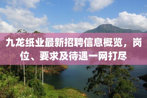 九龍紙業(yè)最新招聘信息概覽，崗位、要求及待遇一網(wǎng)打盡