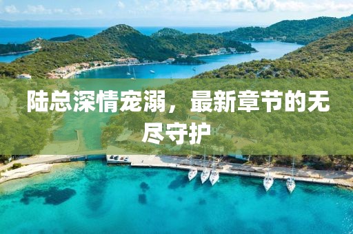 陸總深情寵溺，最新章節(jié)的無盡守護(hù)