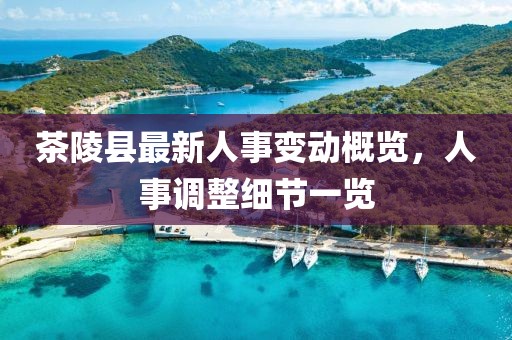 茶陵縣最新人事變動(dòng)概覽，人事調(diào)整細(xì)節(jié)一覽