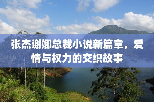 張杰謝娜總裁小說新篇章，愛情與權(quán)力的交織故事