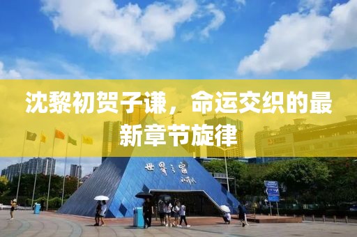沈黎初賀子謙，命運交織的最新章節(jié)旋律