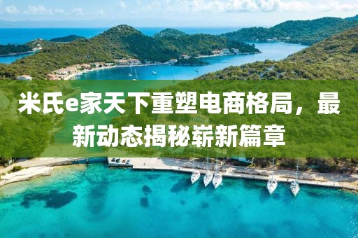 米氏e家天下重塑電商格局，最新動態(tài)揭秘嶄新篇章