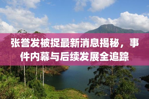 張譽(yù)發(fā)被捉最新消息揭秘，事件內(nèi)幕與后續(xù)發(fā)展全追蹤