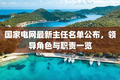 國家電網最新主任名單公布，領導角色與職責一覽