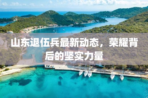 山東退伍兵最新動態(tài)，榮耀背后的堅實力量