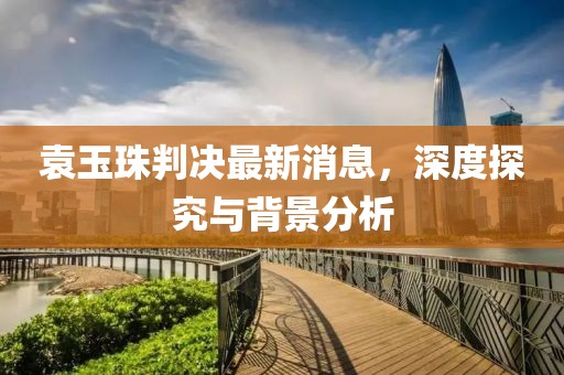 袁玉珠判決最新消息，深度探究與背景分析