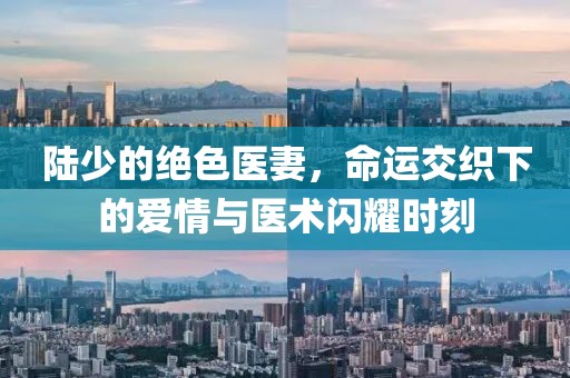 陸少的絕色醫(yī)妻，命運交織下的愛情與醫(yī)術(shù)閃耀時刻
