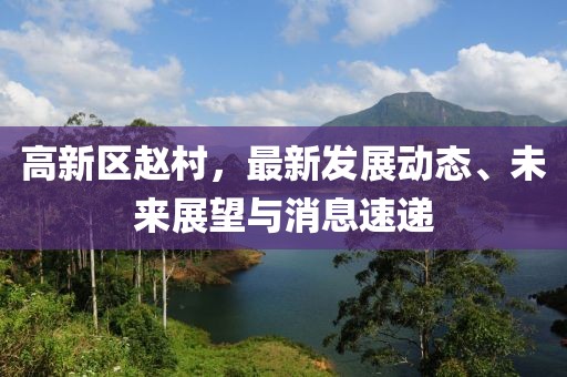 高新區(qū)趙村，最新發(fā)展動態(tài)、未來展望與消息速遞