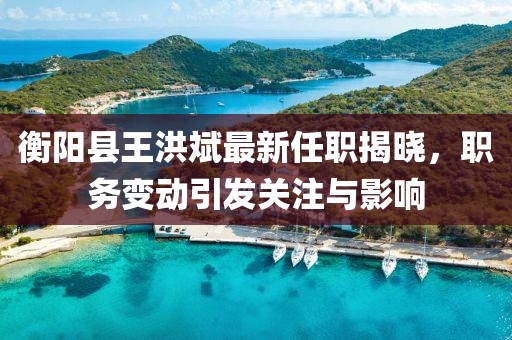 衡陽縣王洪斌最新任職揭曉，職務(wù)變動引發(fā)關(guān)注與影響