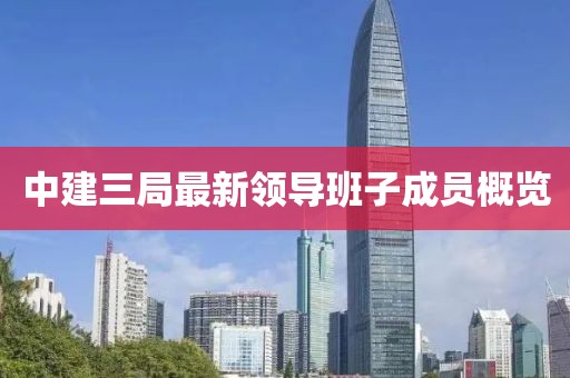 中建三局最新領(lǐng)導(dǎo)班子成員概覽