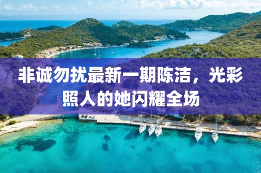非誠勿擾最新一期陳潔，光彩照人的她閃耀全場