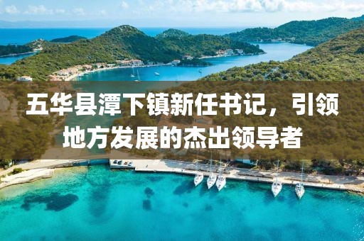 五華縣潭下鎮(zhèn)新任書(shū)記，引領(lǐng)地方發(fā)展的杰出領(lǐng)導(dǎo)者