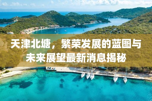 天津北塘，繁榮發(fā)展的藍圖與未來展望最新消息揭秘