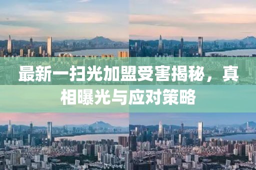 最新一掃光加盟受害揭秘，真相曝光與應對策略