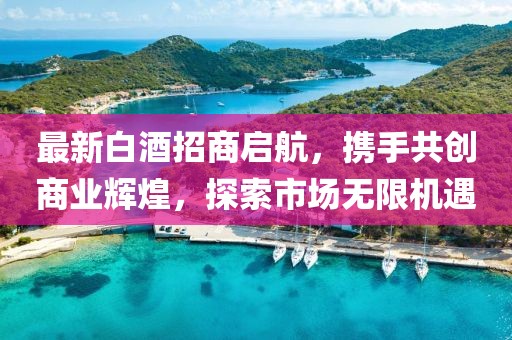 最新白酒招商啟航，攜手共創(chuàng)商業(yè)輝煌，探索市場無限機遇