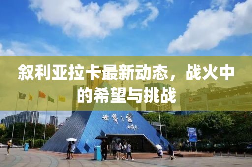 敘利亞拉卡最新動態(tài)，戰(zhàn)火中的希望與挑戰(zhàn)