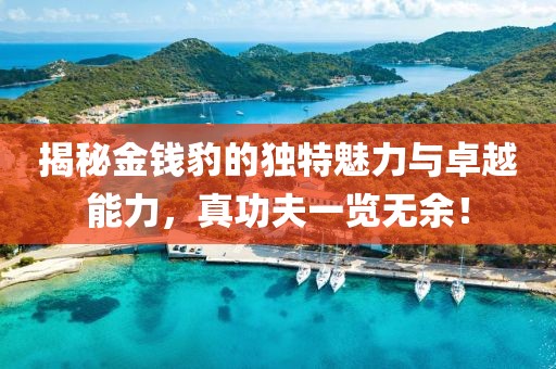 揭秘金錢豹的獨特魅力與卓越能力，真功夫一覽無余！