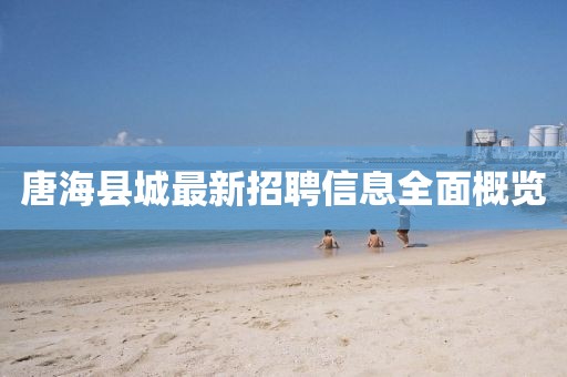 唐?？h城最新招聘信息全面概覽
