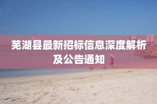 蕪湖縣最新招標(biāo)信息深度解析及公告通知