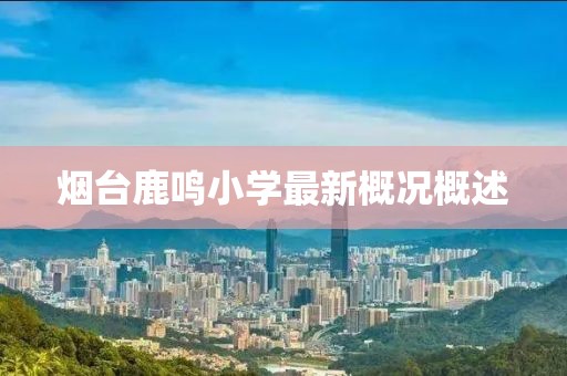 煙臺鹿鳴小學最新概況概述