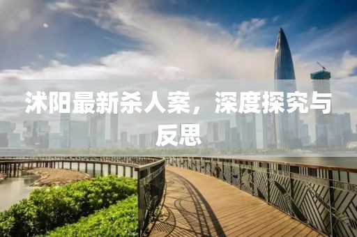 沭陽最新殺人案，深度探究與反思