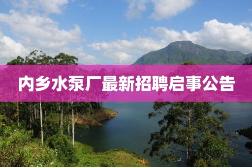 內(nèi)鄉(xiāng)水泵廠最新招聘啟事公告